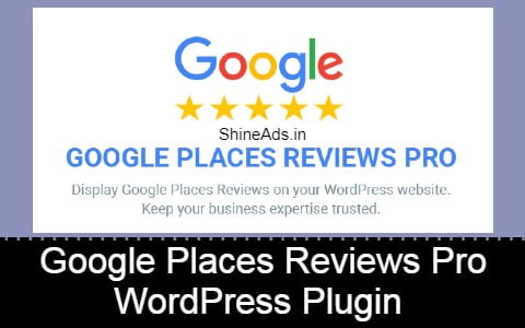 Google Places Reviews Pro WordPress Plugin Free Download