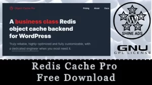 Redis Cache Pro Free Download