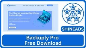 Backuply Pro Free Download