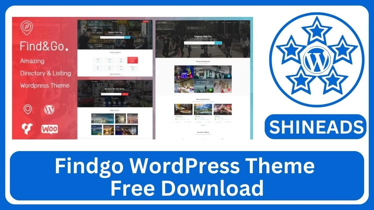 Findgo WordPress Theme Free Download