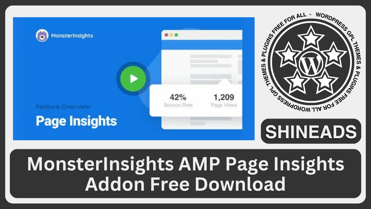 MonsterInsights AMP Page Insights Addon Free Download